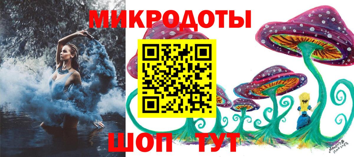 Шебекино  Псилоцибиновые грибы мухоморы  Вход с VPN 