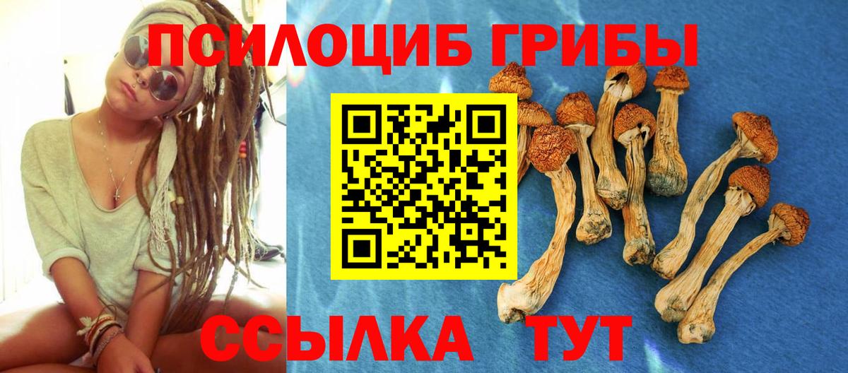 Псилоцибиновые грибы мицелий Шебекино